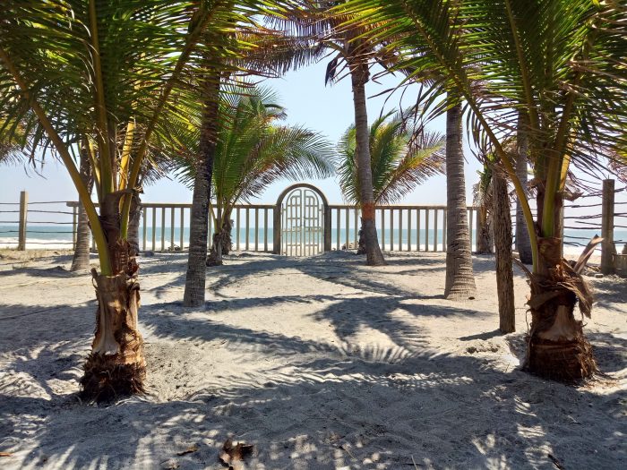 beach-plaza-palmy-wakacje-w-hiszpanii