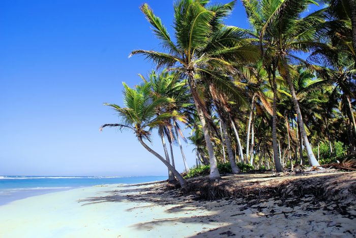 dominikana plaża