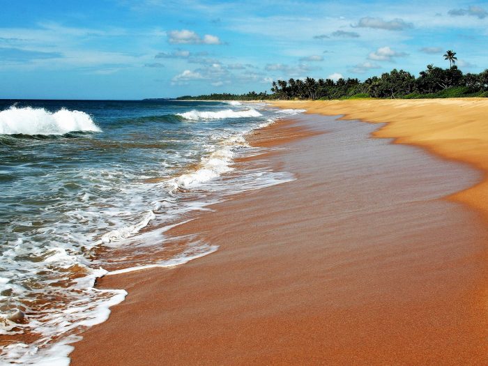 relax-sri-lanka-ocean-indyjski-plaża