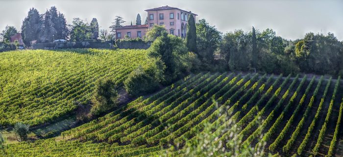 willa-toskania-winnice-wzgórza