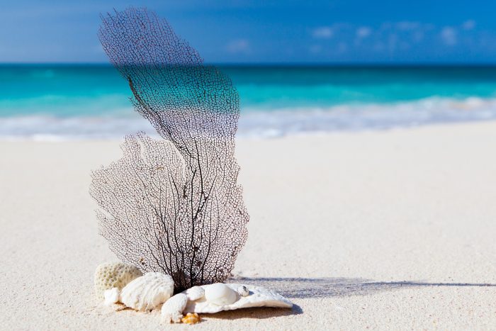 plaża-varadero-karaiby