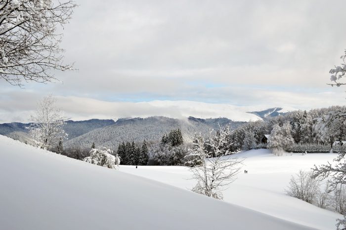 zima-w-górach-kaukazu-idealna-dla-narciarzy