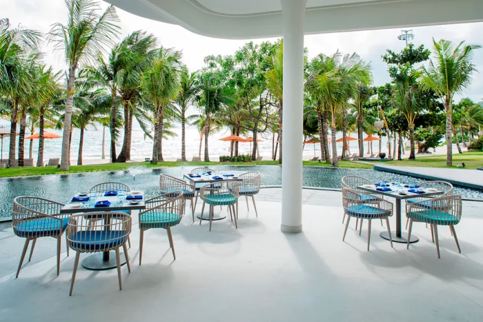 palmy-basen-patio-z-krzesłami-i-stolikami