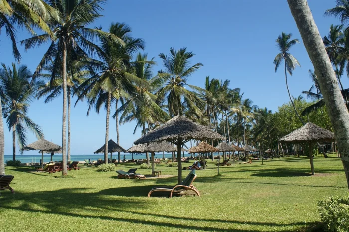 palmy i plaża w Kenii na egzotyczny urlop w zimie gdzie najlepiej pojechać