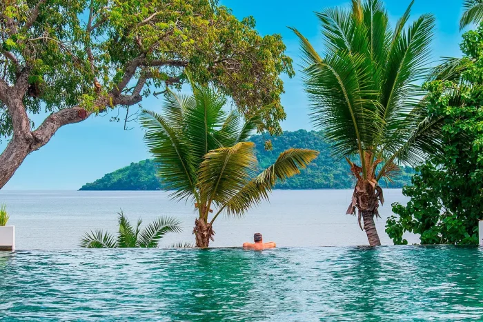 widok na basen i ocean pośród palm