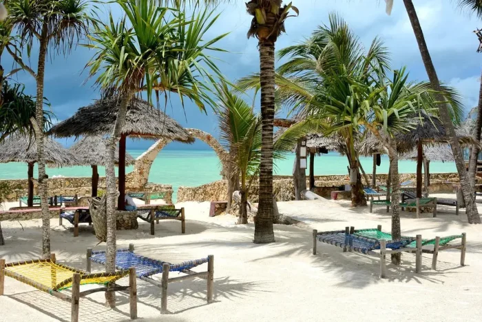 widok na plażę leżaki palmy i ocean