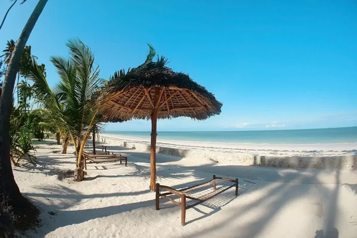 widok na plażę z palmami