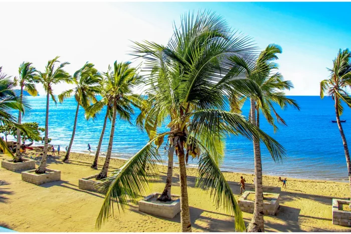 palmy na Madagaskarze na plaży