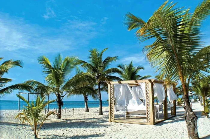 plaża z palmami na Dominikanie
