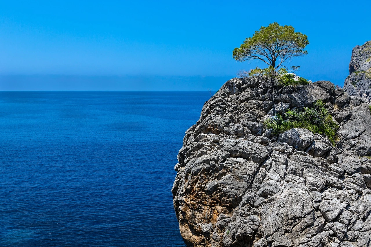 Cala Millor Garden – opinie i ceny 2024