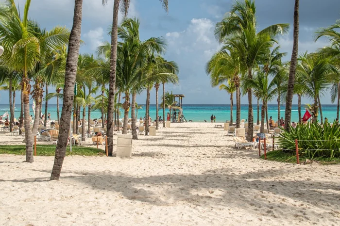 widok na plażę z palmami w Meksyku