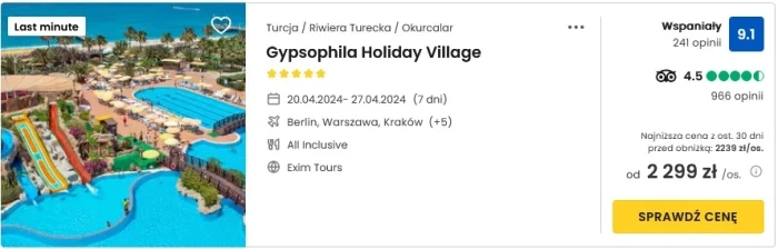 Gysophila Holiday oferta