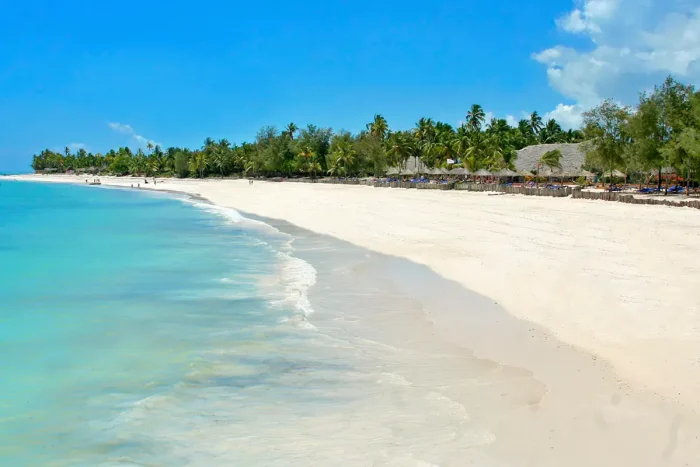 plaża i palmy na Zanzibarze